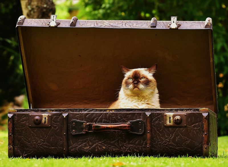 Repurposed Vintage Suitcase